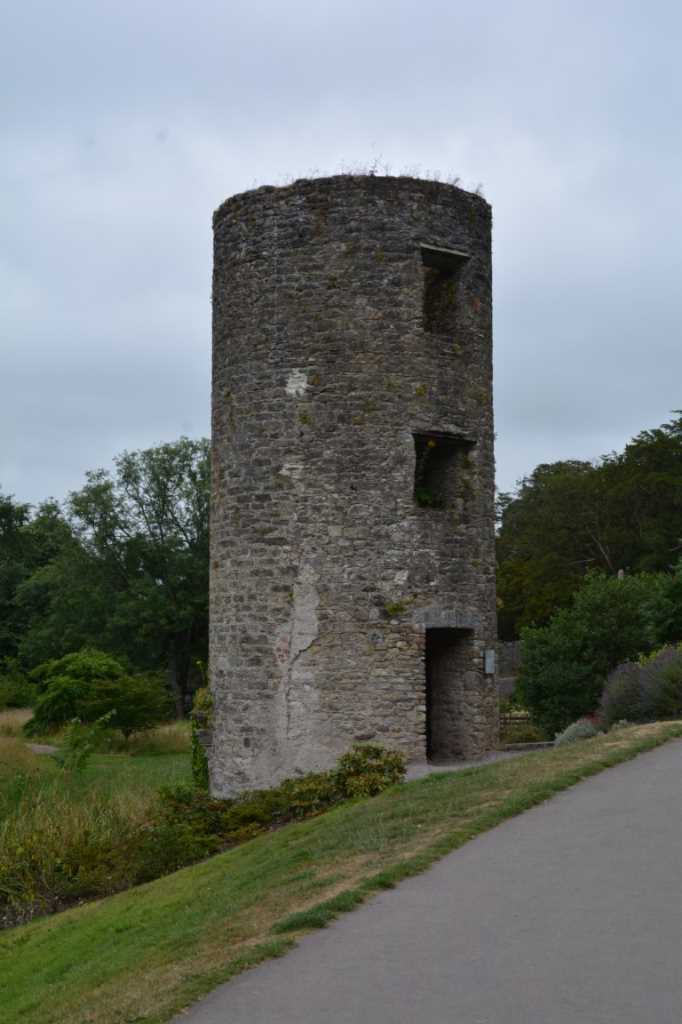 DSC_4356Mittel_.JPG